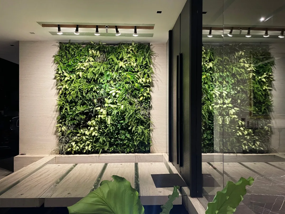 Illuminated indoor green wall panels with ferns and philodendrons in Urdaneta Village home